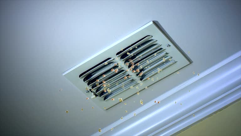 Best Dryer Vent Cleaning Services  in Herndon, VA